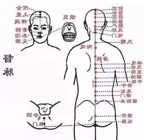 陰阜是哪裡