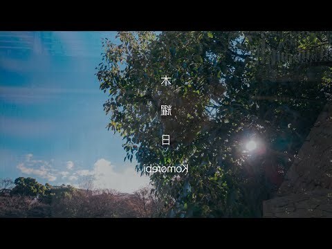 木耀日