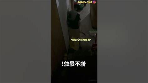家裡突然出現蛇