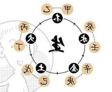 天干屬性
