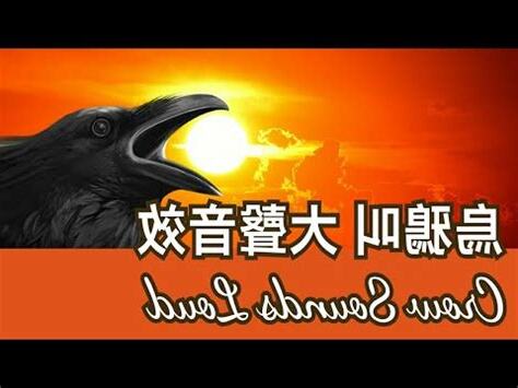 烏鴉叫