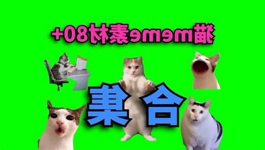 狗男鼠女