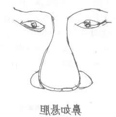 鼻若懸膽