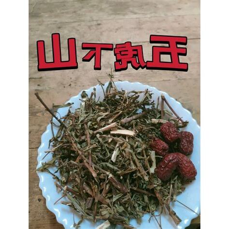 五虎下山功效