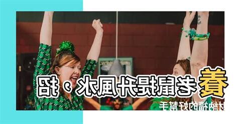 養倉鼠風水