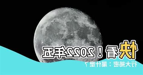 2022年五行屬什麼