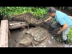 養魚的人