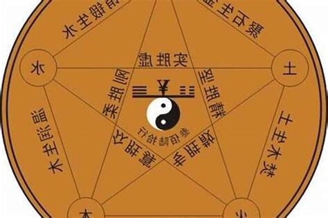 姓名金木水火土