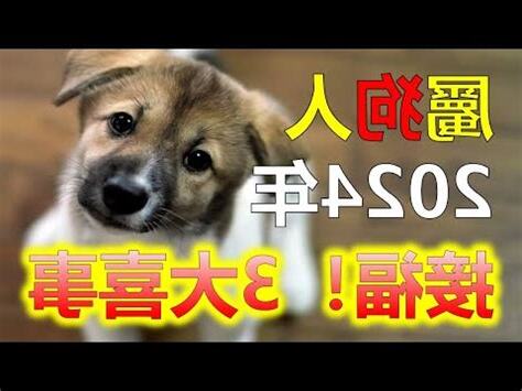 屬狗的今年幾歲