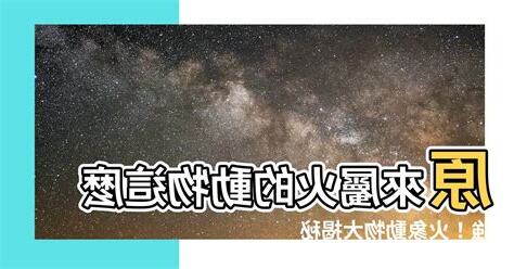 屬火的動物