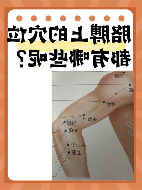 胳膊上的穴位