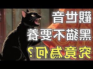 黑貓為何不能養