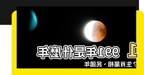 91年是什麼年