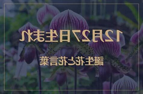 12月27日性格