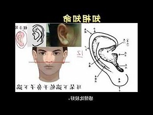 貼耳面相女