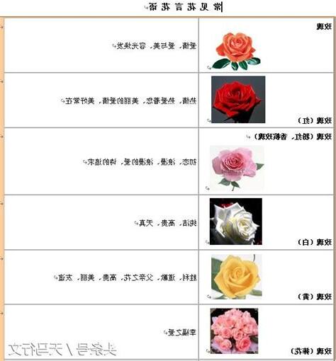 花語大全