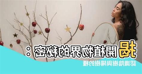 陰樹陽樹種類