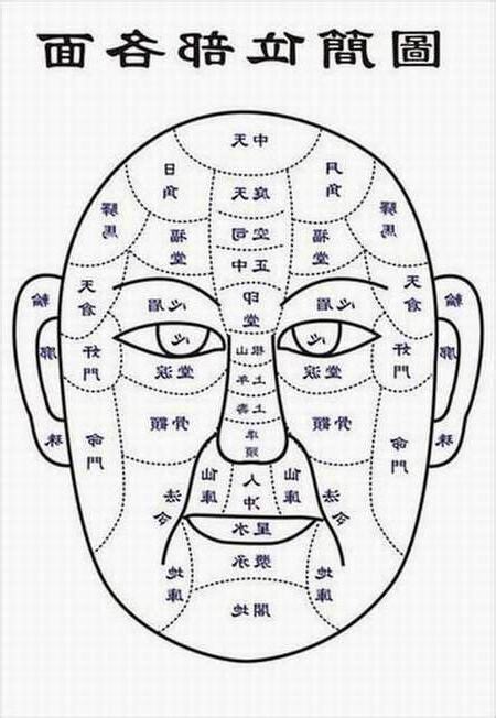 面相部位