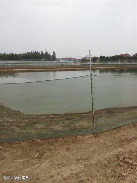 養魚先養水