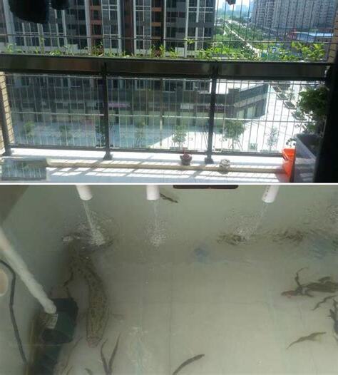 下面養