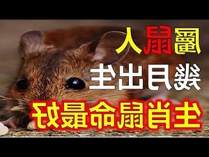生肖地支