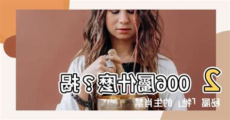 2006屬什麼