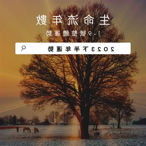 生命靈數流年2023