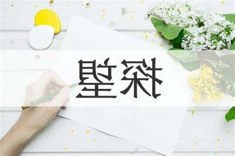 探望的意思