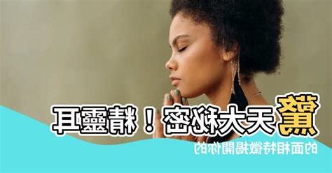 精靈耳面相女