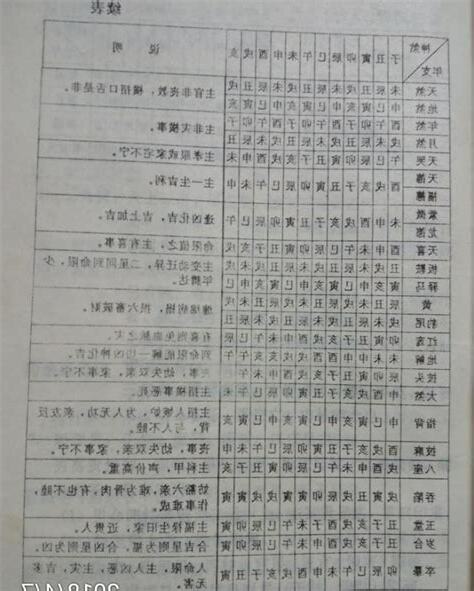 地支神煞