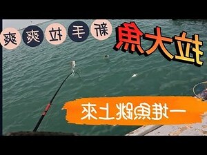 夢見魚跳出水面