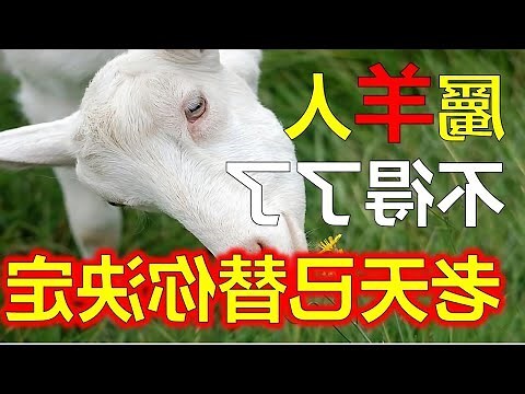 2024屬羊運勢