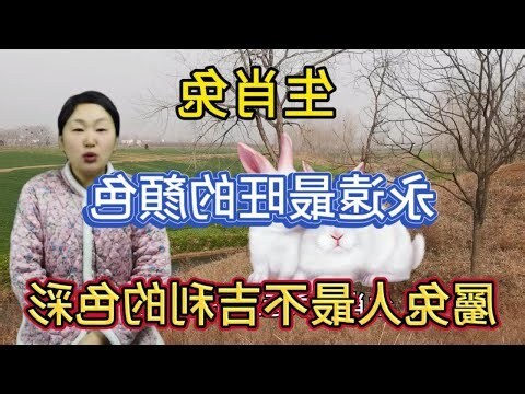 屬兔適合什麼顏色