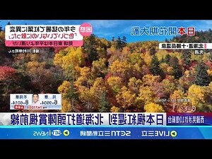 櫻花樹根深度