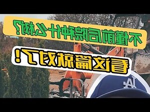 门前种什么树最好