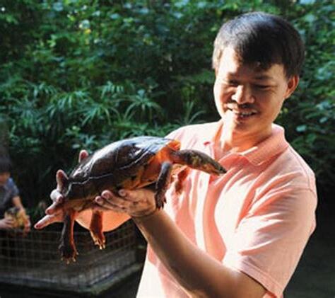 龜人
