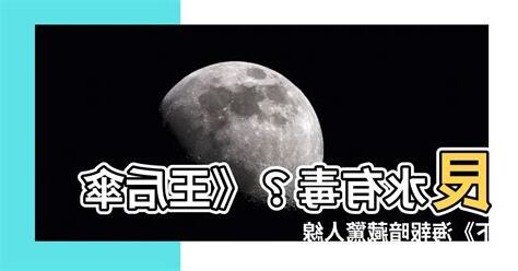 艮水毒