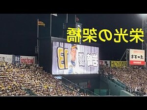 2024甲子年