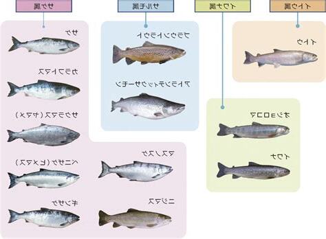 有鱗魚種類