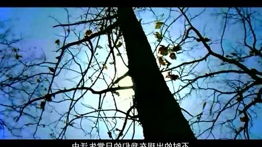 蜘蛛多