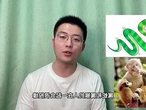 蛇和猴相配吗