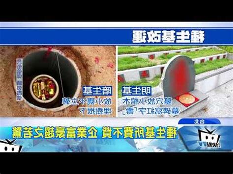 種生基藝人