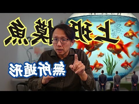 金魚缸效應行政學