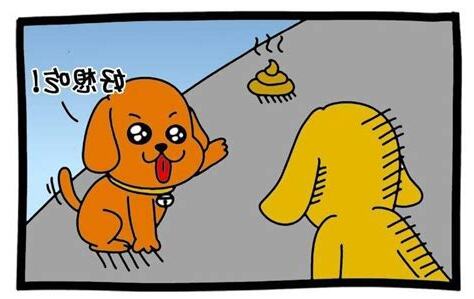 如何不讓狗來大便