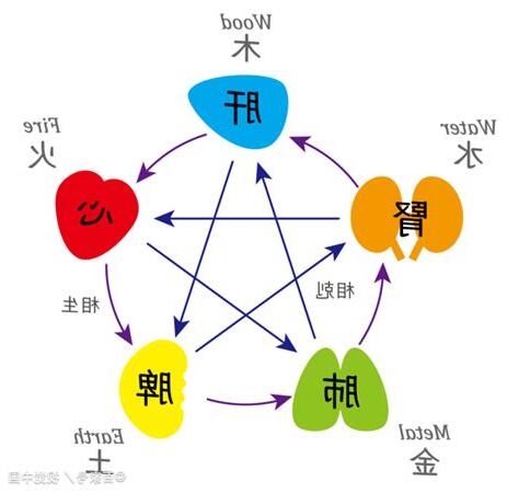 心肝脾肺腎金木水火土