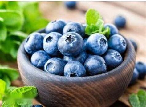 藍色的東西有哪些