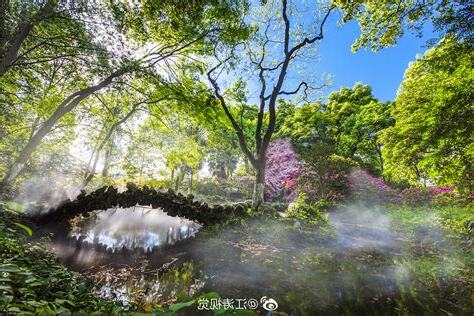 蔚意思