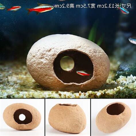 魚缸擺設