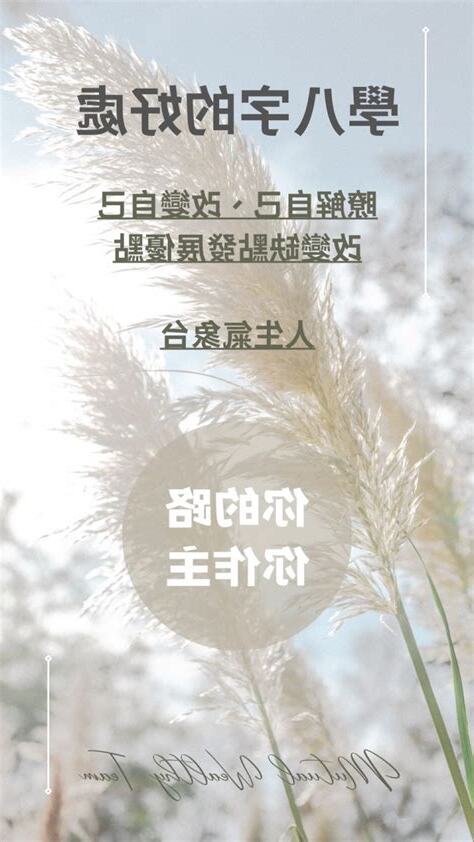 免費排八字