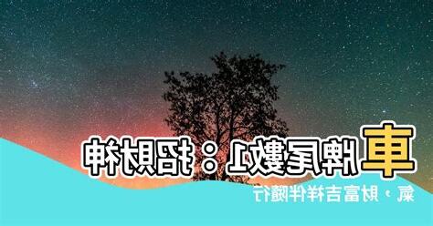 車牌吉祥